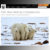 polar bear sweepstakes