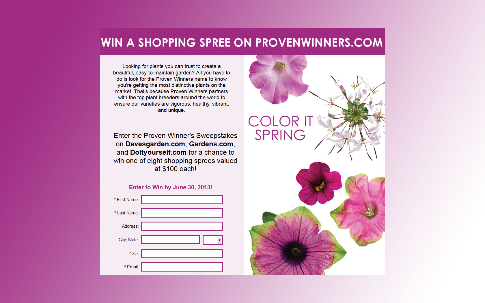 shopping spree sweepstakes