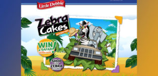 zebra cakes safari giveaway
