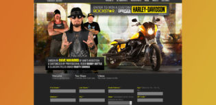custom harley davidson