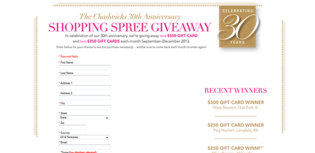 shopping spree giveaway