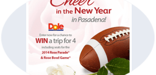 cheer in the new year