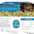 chiquita sweepstakes