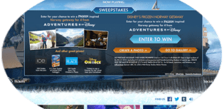 frozen sweepstakes