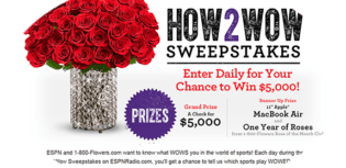 how to wow sweepstakes