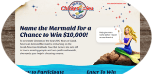 name the mermaid contest