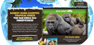 san diego zoo sweepstakes
