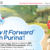 purina-instant-win