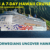 hawaii-cruise-sweepstakes