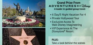 disney sweepstakes