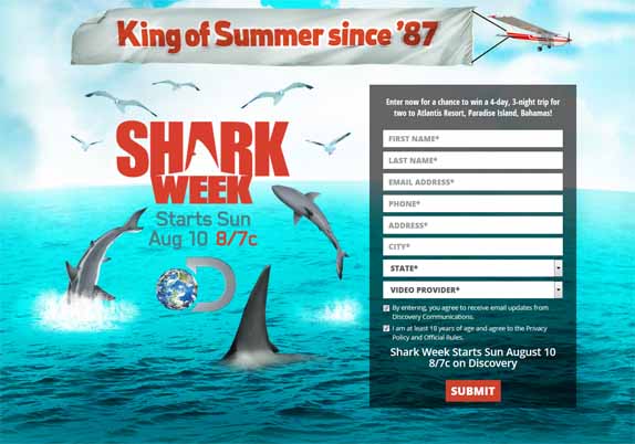 king of summer