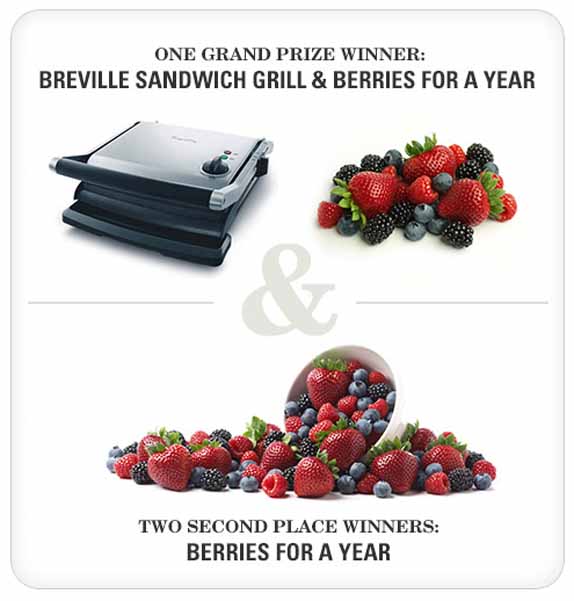 breville sandwich grill
