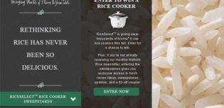 rice cooker