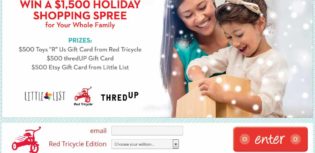 1500 holiday shopping spree