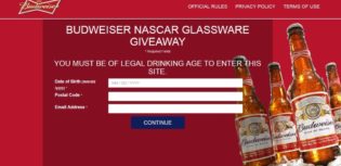 budweiser nascar glassware
