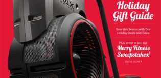 holiday gift guide