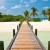 trip to barbados