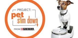 pet slim down
