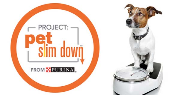 pet slim down