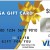 visa gift card