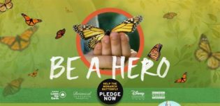 be a hero