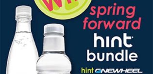 spring forward hint bundle